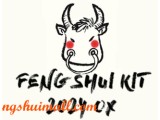 Feng Shui Kit 2024 for Ox