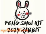 Feng Shui Kit 2024 for Rabbit