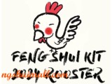 Feng Shui Kit 2024 for Rooster